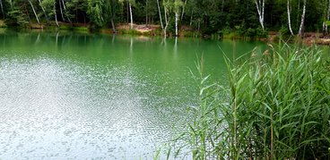 Ożarowskie „morskie oko” - perełka wśród lasów Nadleśnictwa Wieluń